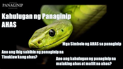 snake sa panaginip
